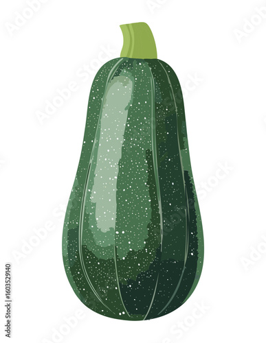 Dark Green Zucchini Fresh Healthy Food - Vector Illustration