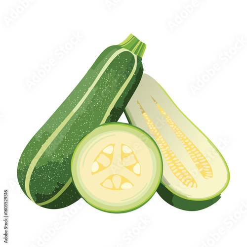 Whole and Cut Zucchini Half - Vector Illustration
