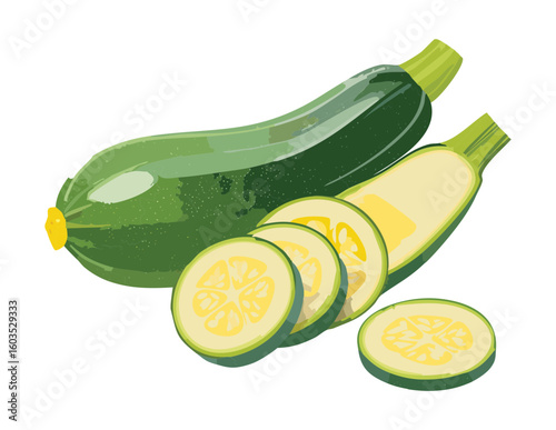 Fresh Zucchini Pile and Cut Rings - Vector Illustration