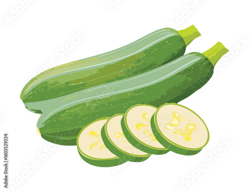 Group of Green Zucchini and Slices - Vector Illustration