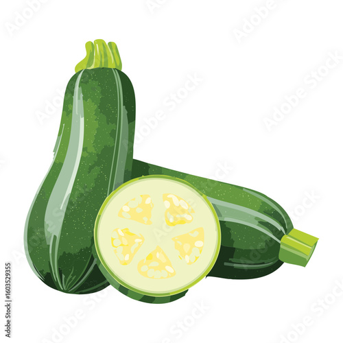 Whole and Halved Zucchini Pieces - Vector Illustration