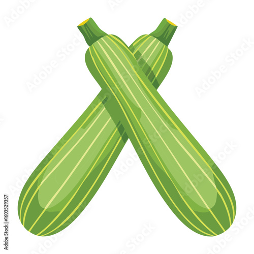 Fresh Green Zucchini Cross Cut - Vector Illustration