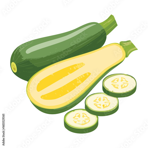 Fresh Zucchini Slices Healthy Organic Food - Vector Illustration