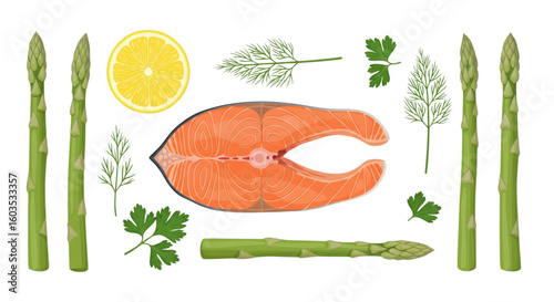  Healthy Salmon Meal Ingredients in a Knolling Flat Lay Vector