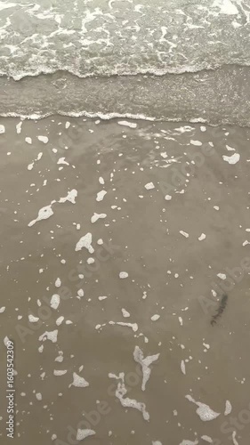 Gentle waves ripple across the shoreline, leaving trails of white foam over the wet sand. A peaceful moment captured where the sea meets the earth