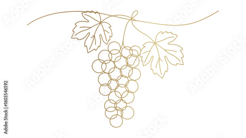 Golden Grapes Outline Vector Illustration on Transparent Background for Creative Projects