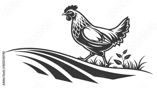Stylized Chicken Walking on a Field with Grass and Plants.