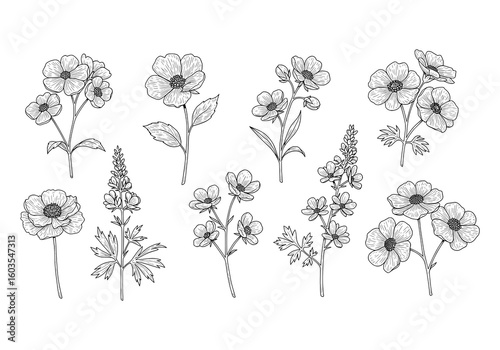 Elegant black and white floral line art for invitations and sophisticated botanical designs, originally a vector