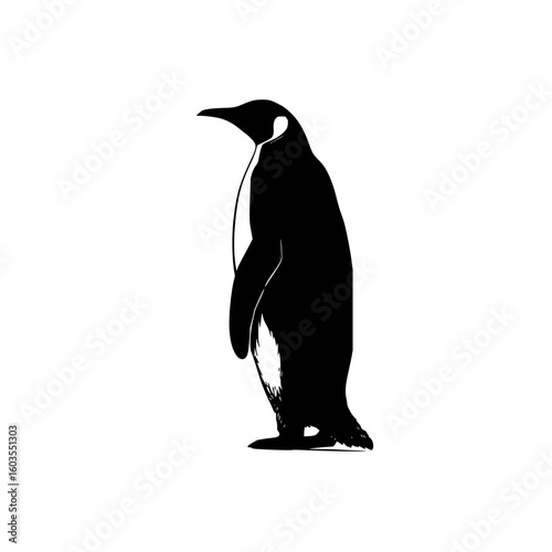 Silhouette of an emperor penguin standing tall with its distinctive markings in a minimalist presentation