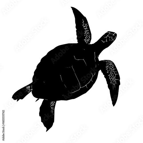 Silhouette of a sea turtle swimming diagonally up and to the right on a white background showing detail 100