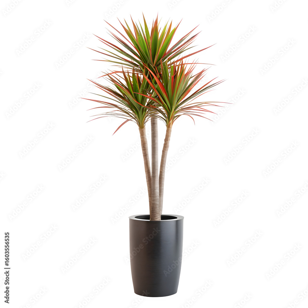 Vibrant potted plant brings natural elegance and modern style to any indoor space Vibrant potted plant brings natural elegance and modern style to any indoor space