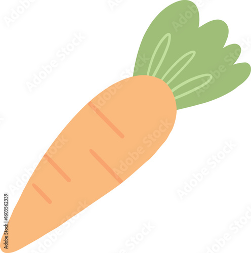 Long carrot icon on transparent background