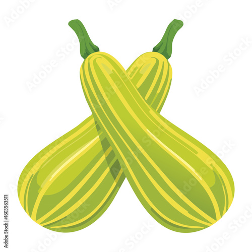 Striped Gourd Detail Crop - Vector Illustration