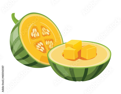Green Squash Cut Cube - Vector Illustration