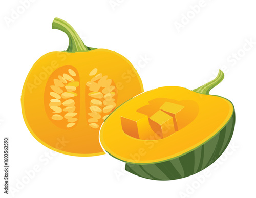 Cut Green Squash Halves - Vector Illustration