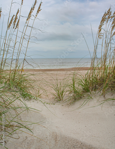 Fototapeta Naklejka Na Ścianę i Meble -  sand dunes on the beach