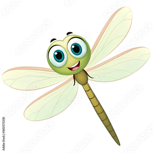 dragonfly on a white background