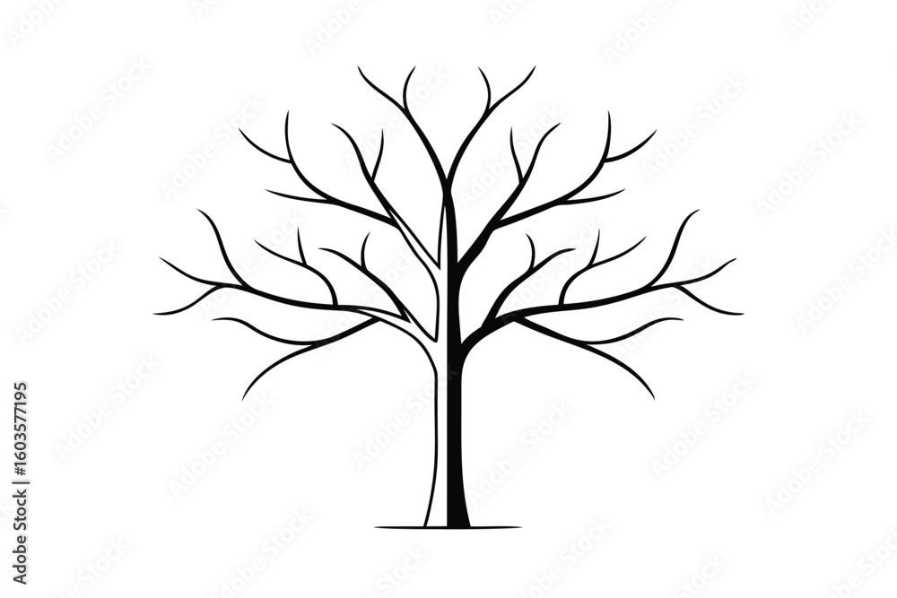 Obraz premium Simple leafless tree outline illustration on a white background for winter designs