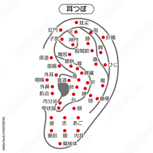 Vector Illustration of Ear Acupuncture Points Chart（in Japanese）
