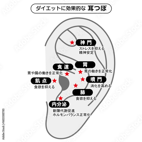 Acupressure Points on the Ear for Slimming Effectiveness（in Japanese）