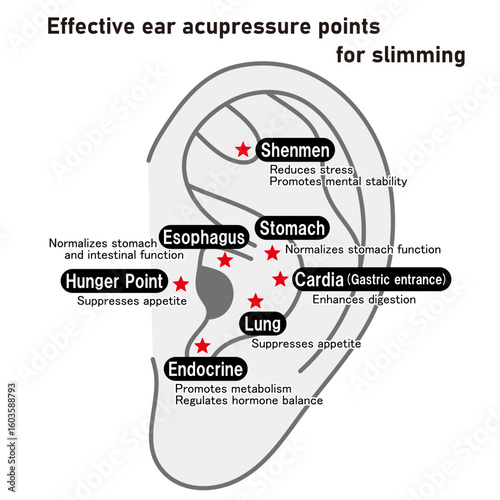 Acupressure Points on the Ear for Slimming Effectiveness（in English）