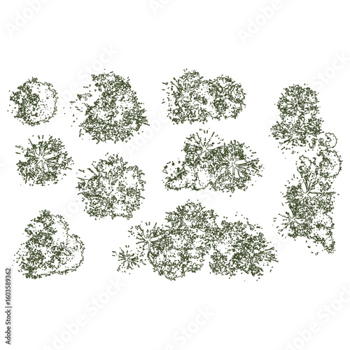 Overhead View of Trees and Bushes for Site Planning and Landscape Architecture Design