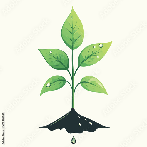 Water drop nurturing a sprout life cycle growth nature ecology sustainability, vector style simple color