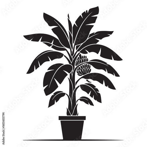 Black and White Illustration of a Banana Plant in a Pot