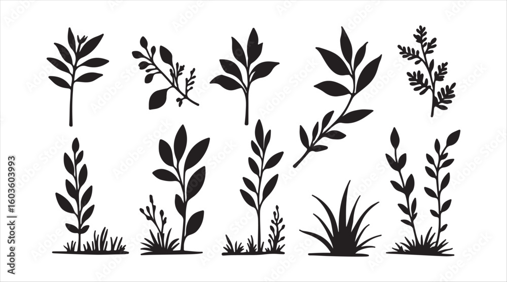 Naklejka premium A collection of silhouettes featuring natural design elements 