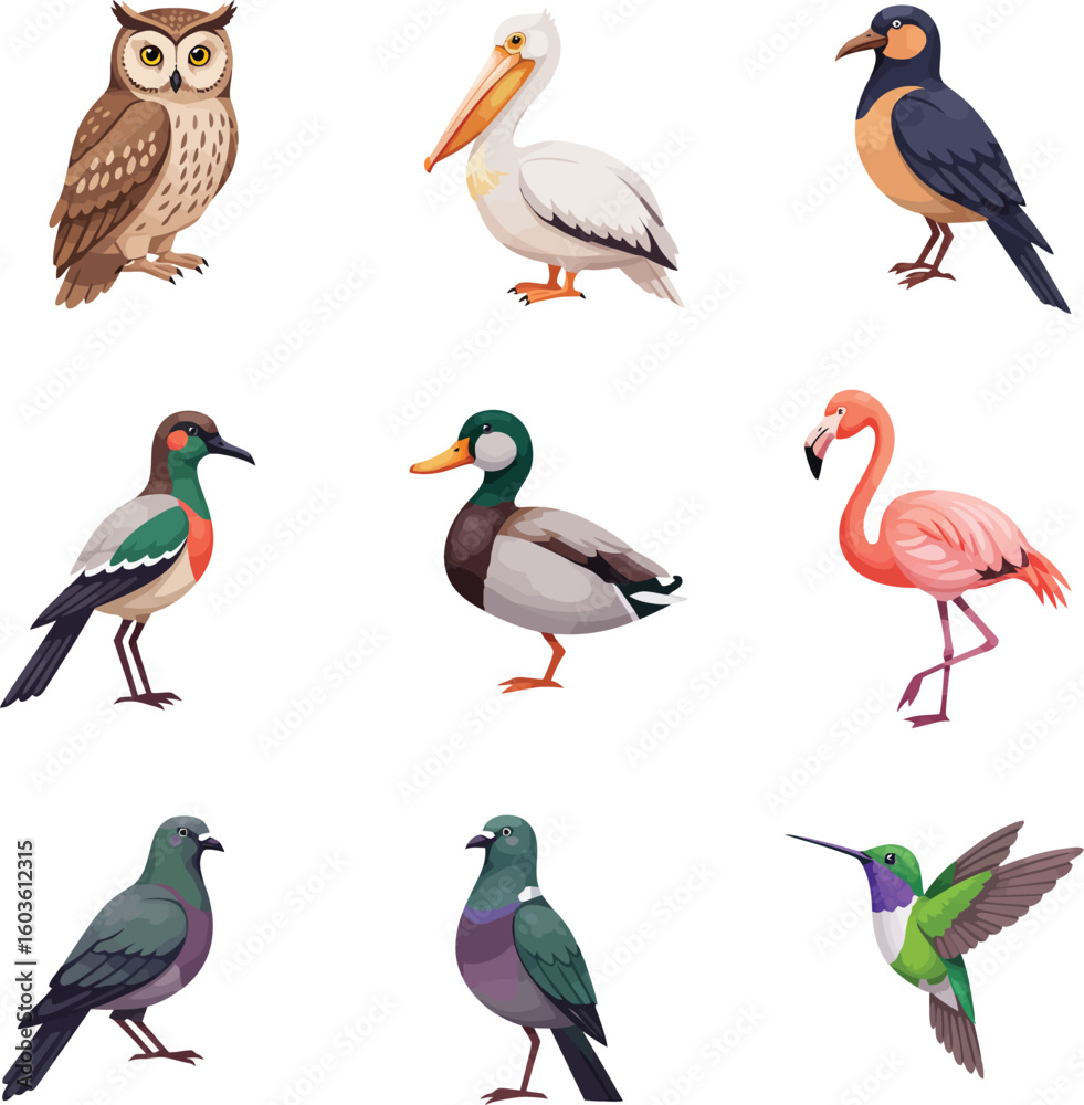 Obraz premium Charming collection of diverse birds including owl, pelican, flamingo, duck, hummingbird, and pigeons.