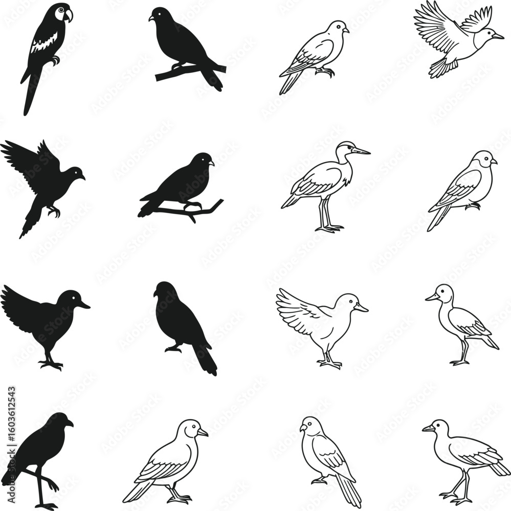 Fototapeta premium Charming collection of diverse bird silhouettes and line art illustrations for creative projects