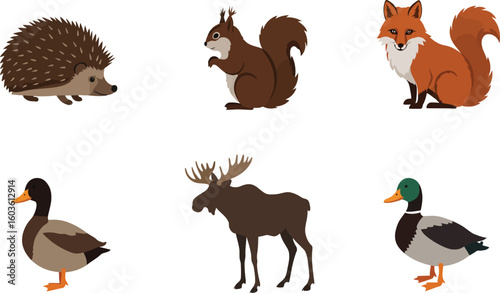 Charming forest creatures and waterfowl set for whimsical nature designs and children's books.
