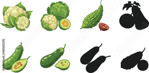 Fresh healthy vegetables including cauliflower, cabbage, eggplant, and bitter gourd with silhouettes