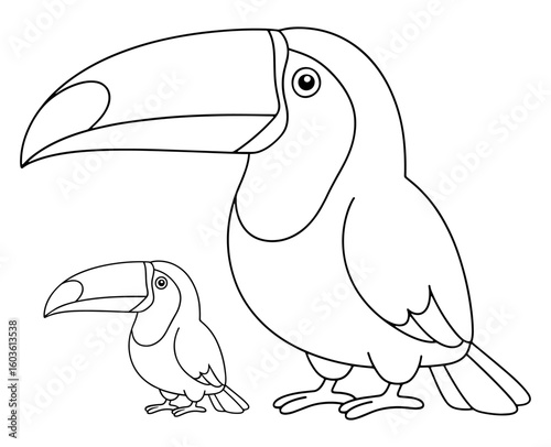 Two Toucans Outline Illustration