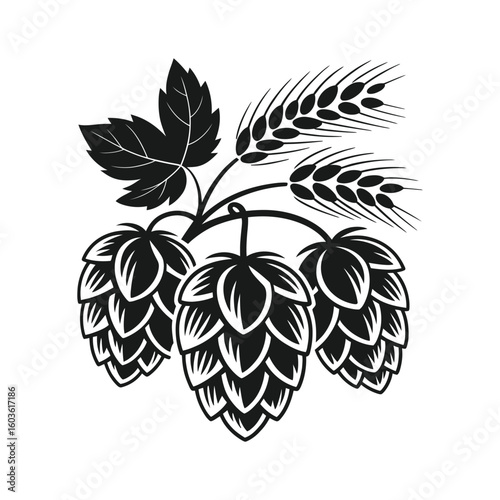 Black hop cones and barley ears on white background plant agriculture