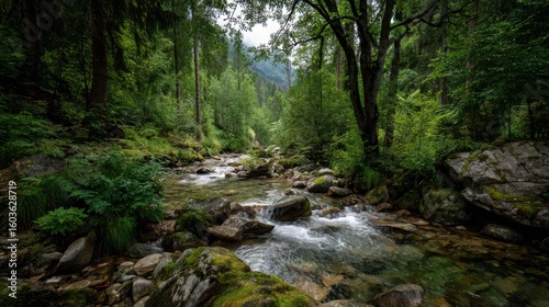 Serene River Flowing Through a Lush Green Forest Landscape