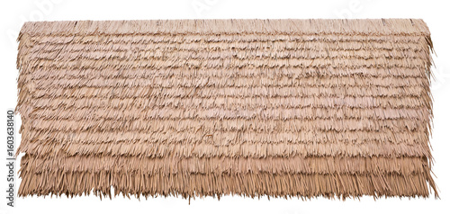 Fotografía Thatched roof material in warm beige color
