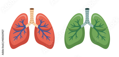 Healthy and unhealthy lungs comparison illustration