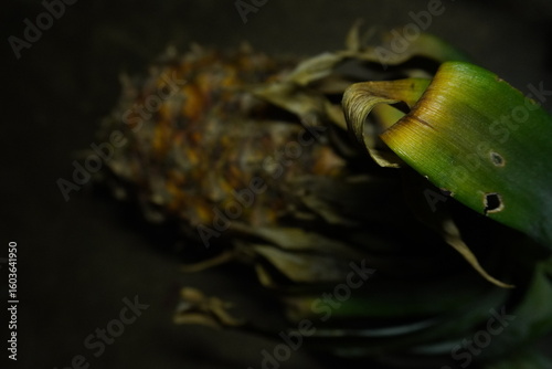 Pineapple: Pineapple is a tropical fruit with spiky skin and sweet, juicy flesh rich in vitamin C and digestive enzymes