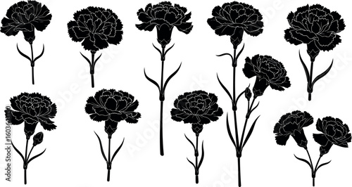 A collection of ten black carnation flower silhouettes with stems and leaves on a white background