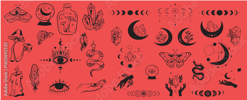 Mystical celestial clipart bundle, Mysticism and esoteric, Flower moon, dream catcher, floral skull, night moth, mushrooms and crystal isolated vector