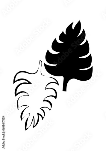 Blätter schwarz und weiß 