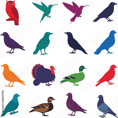 Vibrant collection of diverse bird silhouettes in various colors and species, perfect for design