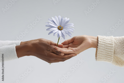 during domestic violence awareness month powerful visual symbolizes support hands gently lifting flower against