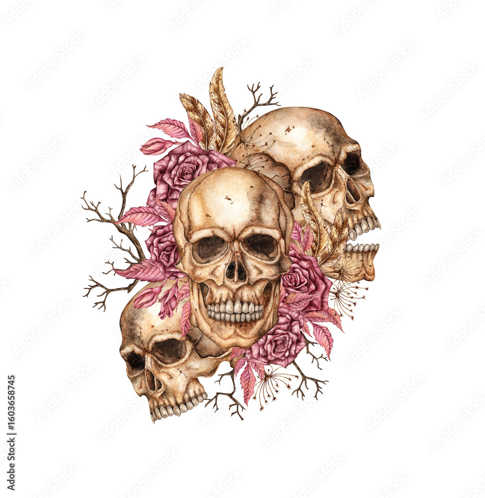 Fototapeta premium Skulls with dark red roses, dried flowers, feathers and branches watercolor illustration. Bones in gothic style. Day of the Dead, Halloween, Dia de los muertos. Isolated. Symbolism of life and death.