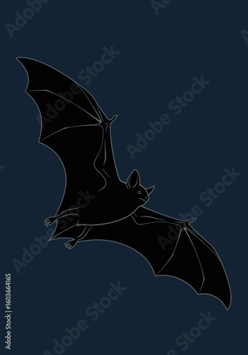 A black silhouette illustration of a flying bat with a thin white outline against a dark blue background.
