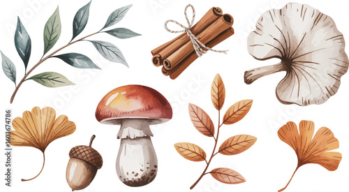 Watercolor Autumn Elements Mushroom, Leaves, Cinnamon Sticks, Acorn, Botanical Illustration Art
