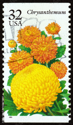 Postage stamp USA 1995 Chrysanthemum, flowering plants native to East Asia and northeastern Europe, garden flowers
