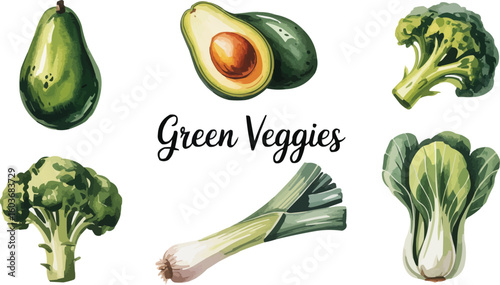 Watercolor Illustration of Various Green Vegetables Avocado, Broccoli, Leek, and Bok Choy Artwork