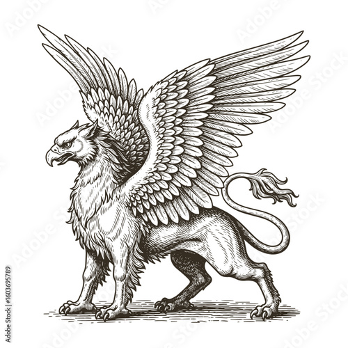 A griffin also known as a gryphon or griffon with lion body, wings and eagle head. griffin engraving illustration